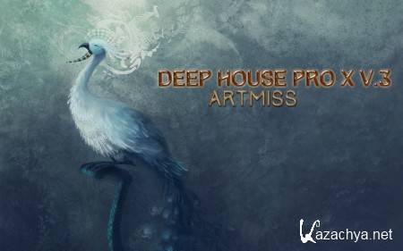 Deep House Pro X v.3 (2014)