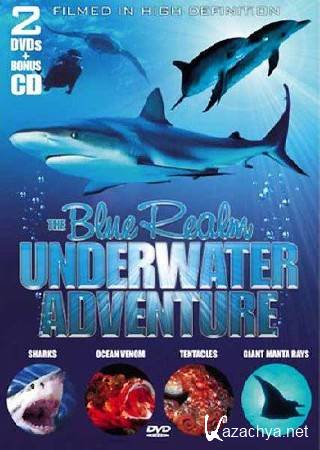   (  ).    / The blue realm (2004) HDTV (1080i)