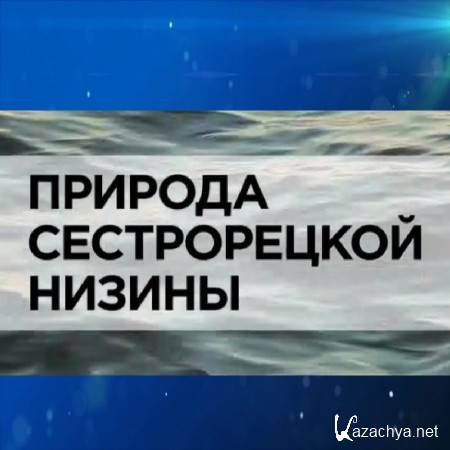  C  / The nature of the Sestroretsk lowland (2013) HDTV 1080i