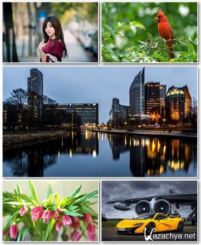 Best HD Wallpapers Pack 1247