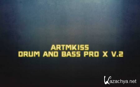 Drum and Bass Pro X v.2 (2014)