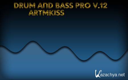 Drum and Bass Pro v.12 (2014)