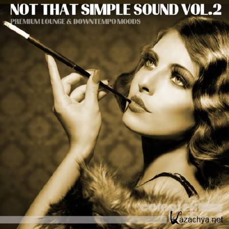 Not That Simple Sound Vol.2 (2014)