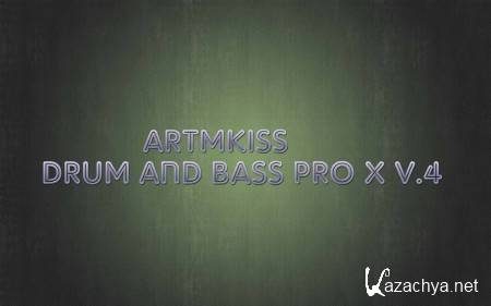 Drum and Bass Pro X v.4 (2014)