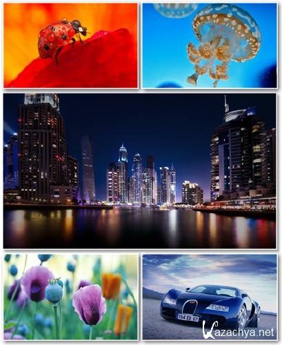 Best HD Wallpapers Pack 1256