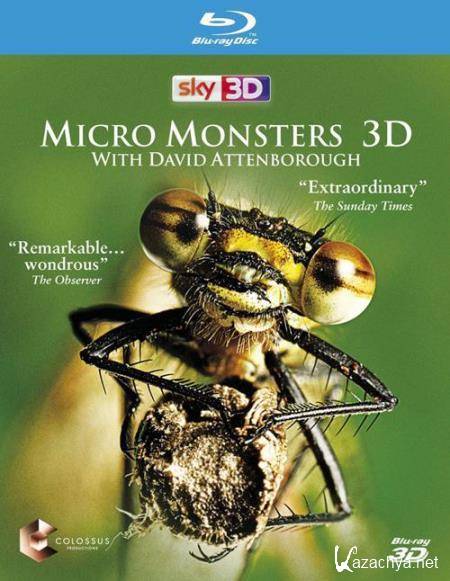     / Micro Monsters 3D with David Attenborough (2013) BDRip (1080p)