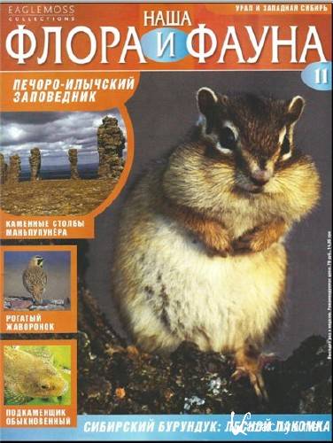  Наша флора и фауна 011. Печоро-Илычский заповедник (PDF) 