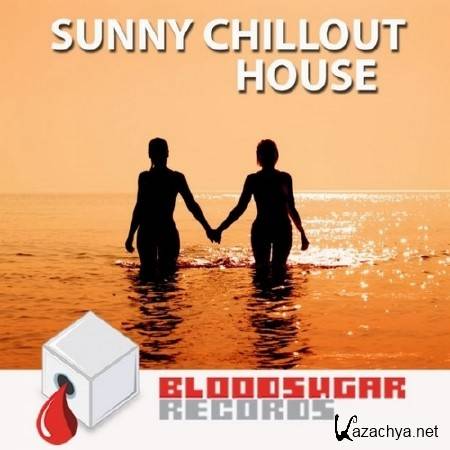 Sunny Chillout House (2014)