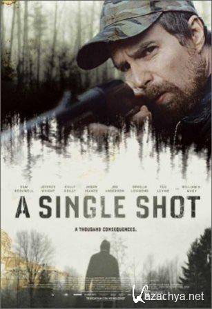   / A Single Shot (2013/BDRip)