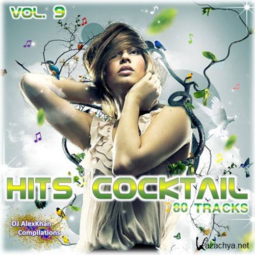 Hits Cocktail Vol.9 (2014)