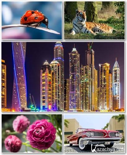 Best HD Wallpapers Pack 1266