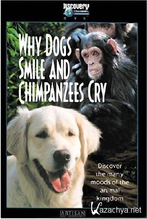       (2   2) / Why Dogs Smile and Chimpanzees Cry (1999) SATRip