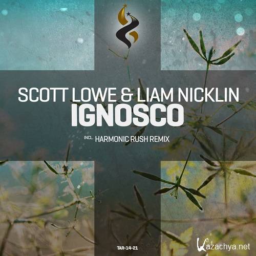 Scott Lowe & Liam Nicklin - Ignosco