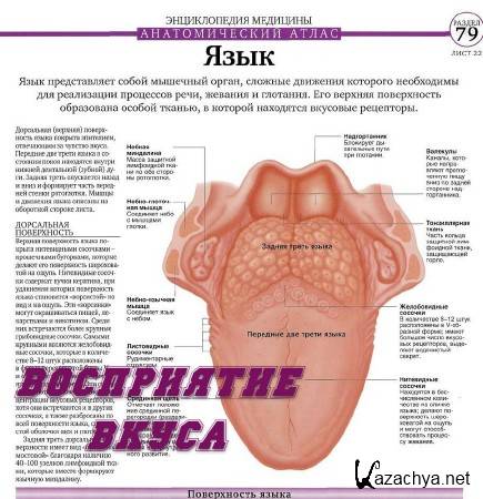 ���������� ����� (2014) IPTVRip