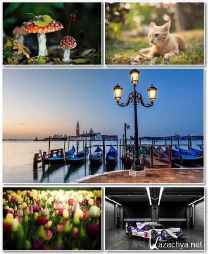 Best HD Wallpapers Pack 1271