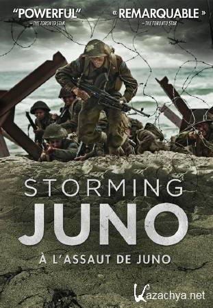  -   / Storming Juno (2010) DVDRip