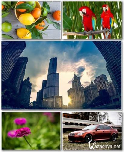 Best HD Wallpapers Pack 1272