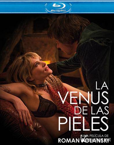    / La Venus a la fourrure ( ) [2013 ., , HDRip] Dub [ ]