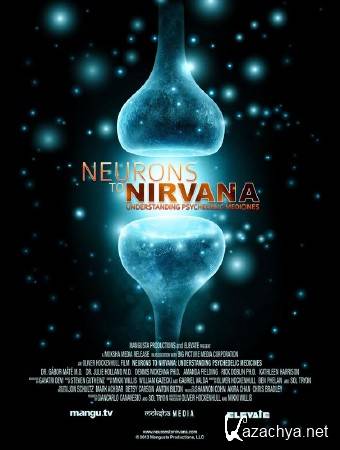 �� �������� � �������: ����������� ���������� ������������ / Understanding Psychedelic Medicines (2013) WEB-DL (1080p)