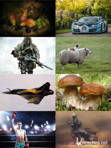 ����� ������� ��������������� ����� � ���� ��� �������� ����� ������ 329