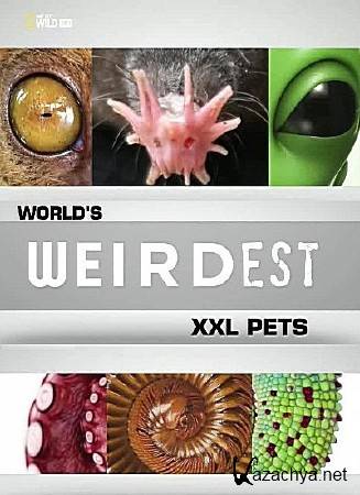     : XXL / World's Weirdest: XXL Pets (2013) HDTVRip