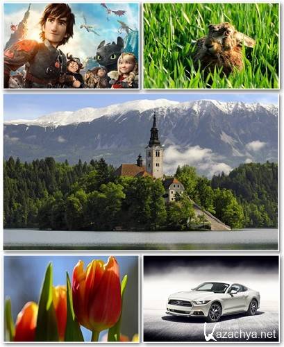 Best HD Wallpapers Pack 1291