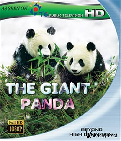   / Giant Panda (2009) HDTVRip