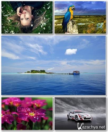 Best HD Wallpapers Pack 1293