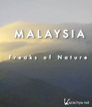 .   / Malaysia. Freaks of Nature HDTVRip (720p)