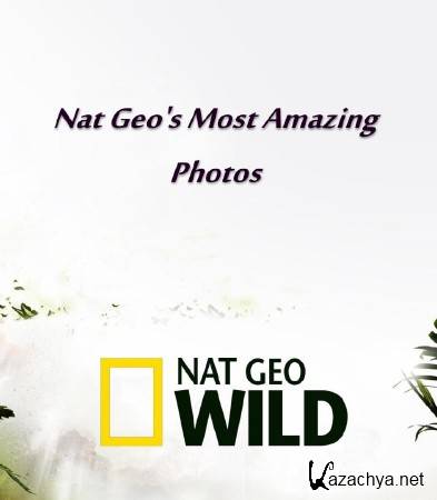 NG:    (19   19) / Nat Geo's Most Amazing Photos (2009-2011) TVRip