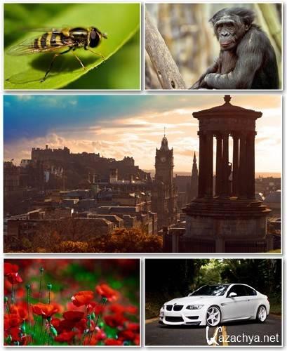 Best HD Wallpapers Pack 1298