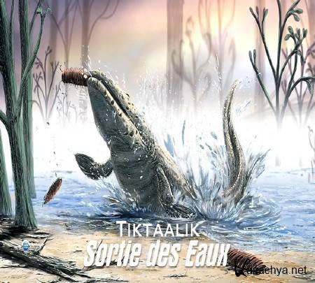 ���� ������. ����� �� ���� / Sortie des Eaux (2010-2012)  HDTVRip (720p)