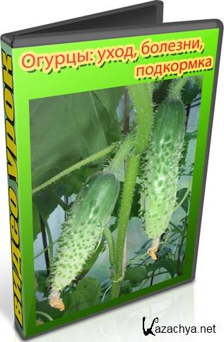 : , ,  (2014) WebRip