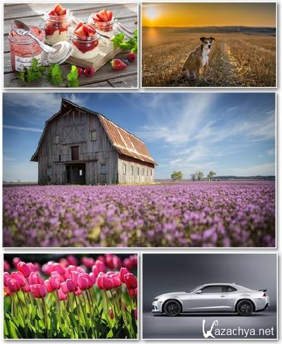 Best HD Wallpapers Pack 1304