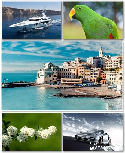 Best HD Wallpapers Pack 1306