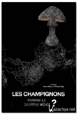 Могут ли грибы изменить мир? / Les champignons pourront-ils sauver le monde? (2013) DVB Могут ли грибы изменить мир? / Les champignons pourront-ils sauver le monde? (2013) DVB