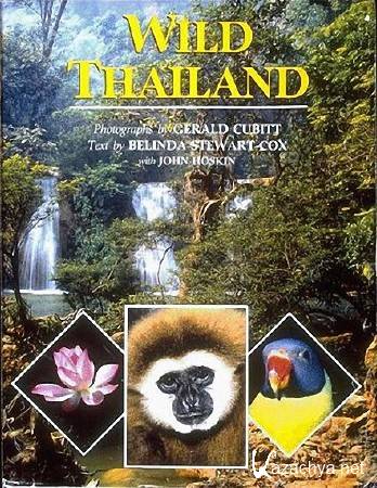 ����� ������� �������� (2 ����� �� 2) / Wild Thailand (2013) HDTVRip (720p)