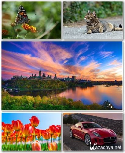 Best HD Wallpapers Pack 1309