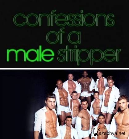   / Confessions of a Male Stripper (2013) SATRip