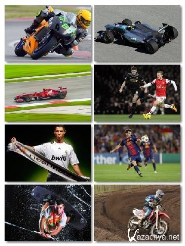 ������������ ��������� �������� �� ���������� ���� ������ 15