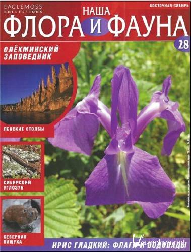  ���� ����� � ����� 28. ����������� ���������� 