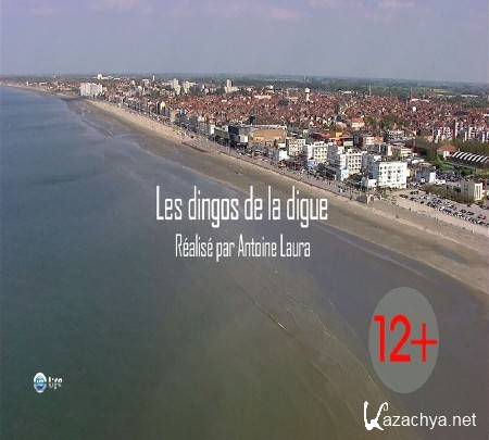 Чудаки на дамбе / Les dingos de la digue (2010-2012) HDTVRip (720p)