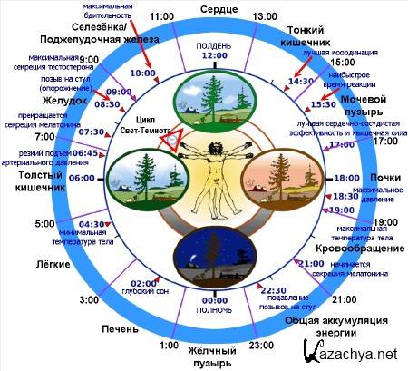 � ���� ����� ��������� ������������� ������? (2014) 