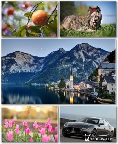 Best HD Wallpapers Pack 1313