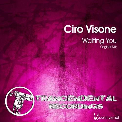 Ciro Visone - Waiting You