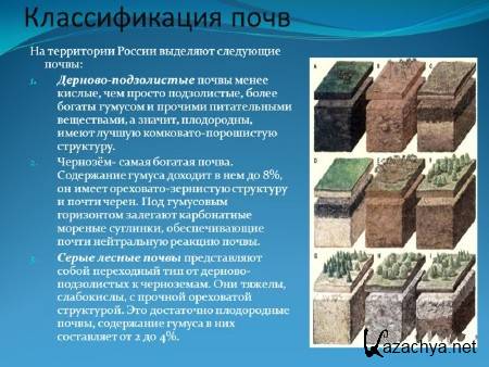 ��� ������������. ������������� ����, ���������, �����������  (2014) 