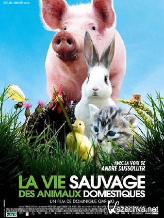 ����� ����� �������� �������� / La vie sauvage des animaux domestiques (2009) DVB