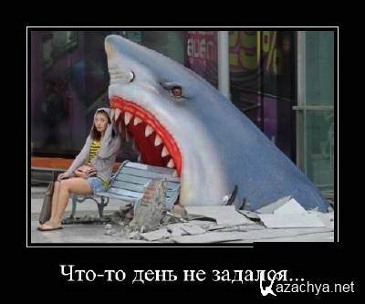 �������� ������������� � 779