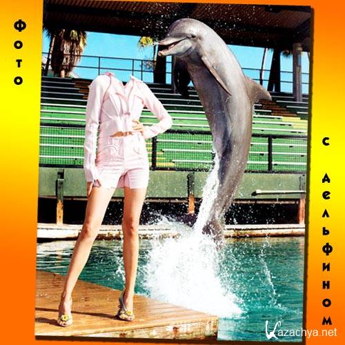 Фото с дельфином - Шаблон для девушек