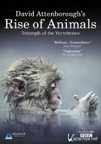 BBC:       / Rise of Animals: Triumph of the Vertebrates (2013 / 1   2) BDRip (720p)